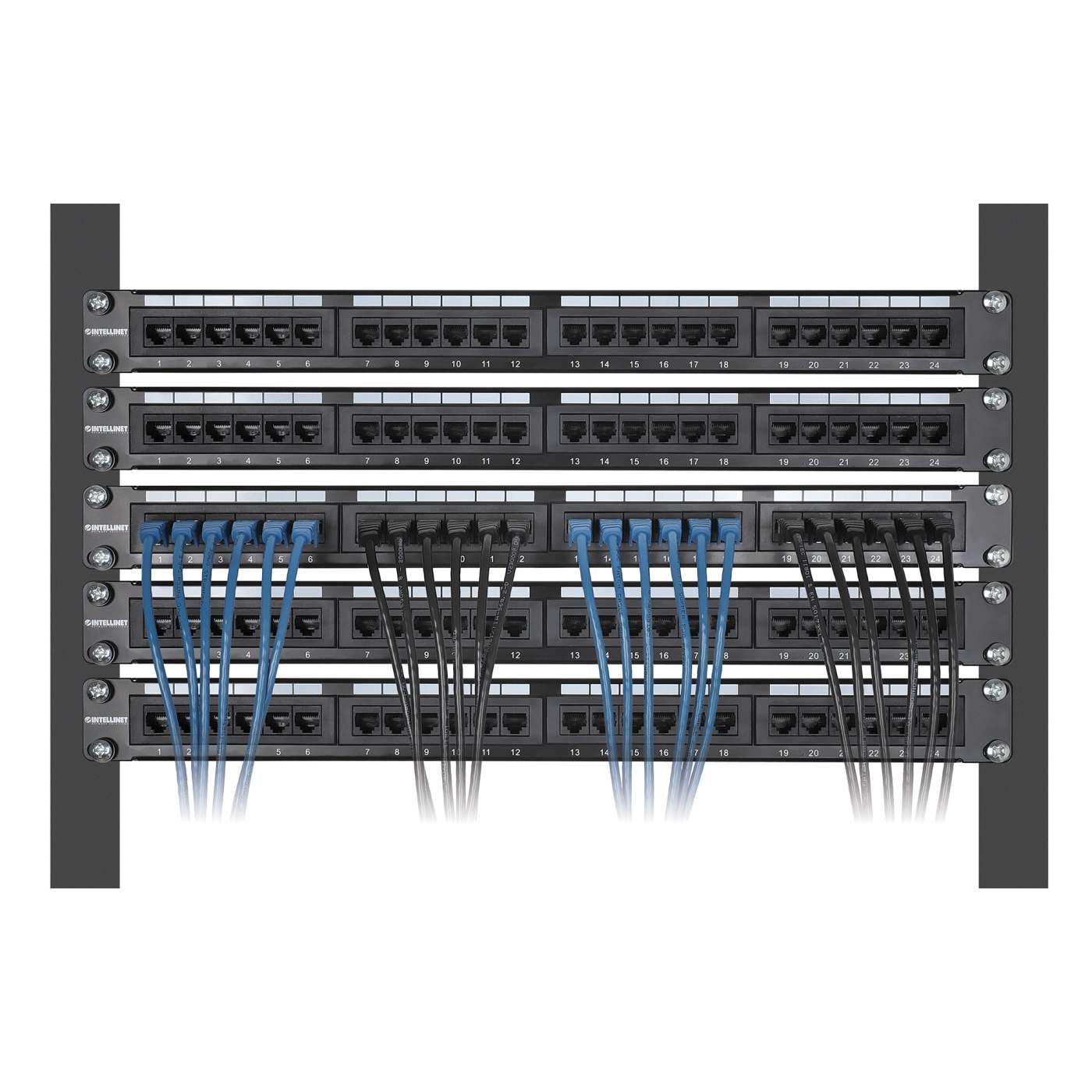 Cat8.1 U/FTP Slim Network Patch Cable, 3 ft., Blue, 10-Pack Image 6