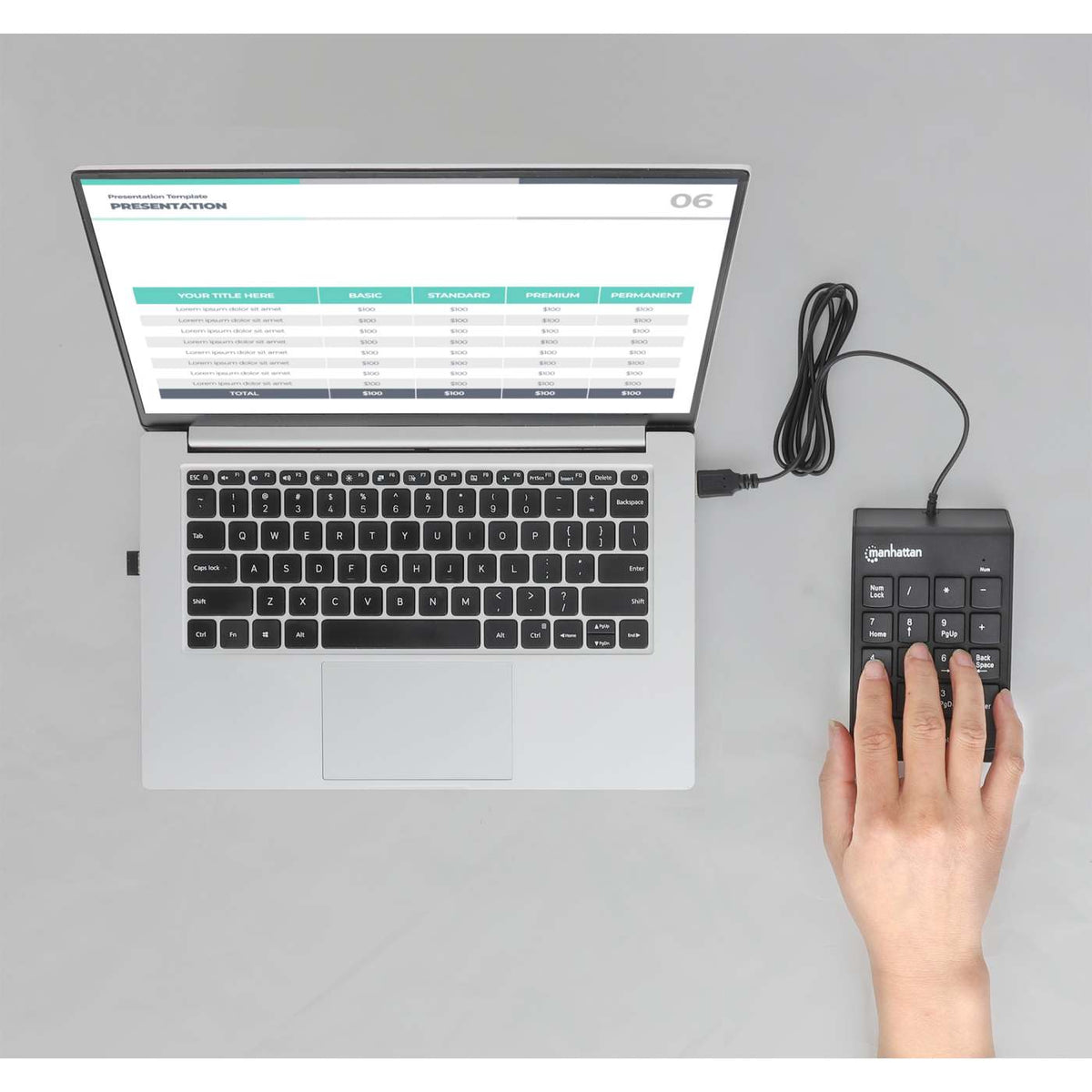 Integrated Numberic Keypad Manhattan Numeric Wired Keypad (176354) – IC Intracom USA Inc.