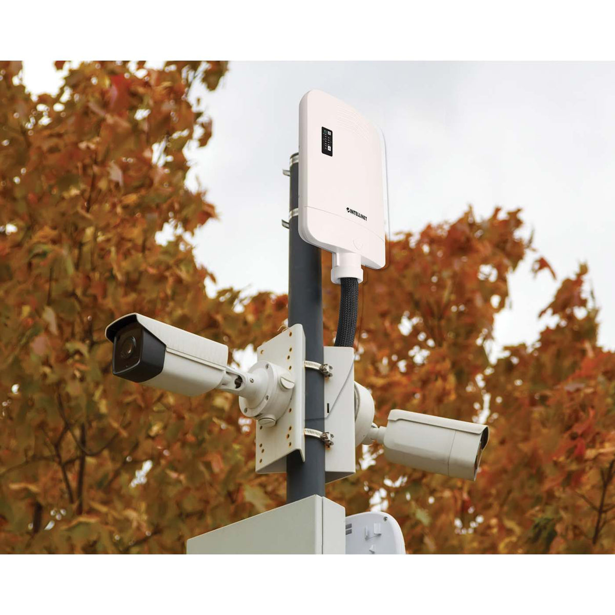 Outdoor 10-Port L2+ Smart Managed PoE+ Switch with 8 Gigabit Ethernet Ports and 2 SFP Uplinks Image 8